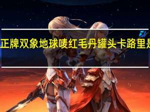 正牌双象地球唛 红毛丹罐头卡路里是多少