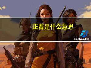正着是什么意思