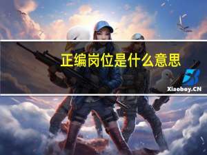 正编岗位是什么意思