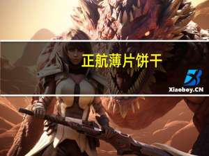 正航 薄片饼干(巧克力味)的热量是多少