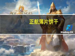 正航 薄片饼干(烧烤口味)的热量是多少