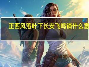 正西风落叶下长安飞鸣镝什么意思