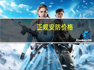 正规安防价格