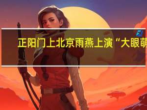 正阳门上北京雨燕上演“大眼萌”