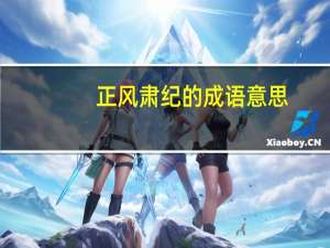 正风肃纪的成语意思（正风肃纪的近义词）