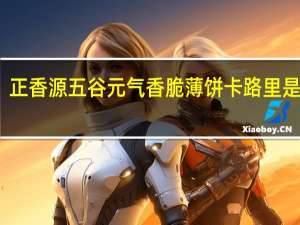 正香源 五谷元气香脆薄饼卡路里是多少