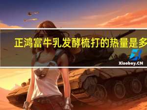 正鸿富 牛乳发酵梳打的热量是多少