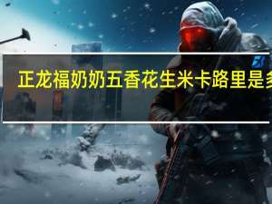 正龙 福奶奶五香花生米卡路里是多少