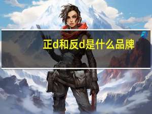 正d和反d是什么品牌