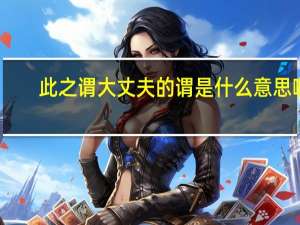 此之谓大丈夫的谓是什么意思啊