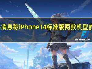 此前的爆料消息称 iPhone 14 标准版两款机型的芯片将不会升级