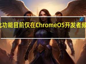 此功能目前仅在ChromeOS开发者频道提供