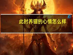 此时养猫的心情怎么样