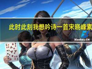 此时此刻我想吟诗一首宋晓峰素材（此时此刻我想）