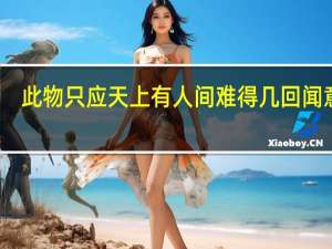 此物只应天上有 人间难得几回闻意思（此物只应天上有）