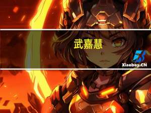 武嘉慧（武嘉）