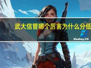 武大信管哪个厉害为什么分低