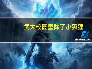 武大校园里除了小狐狸，还有什么动物