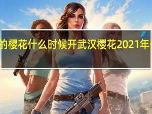 武大的樱花什么时候开 武汉樱花2021年什么时候开