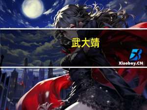 武大靖（关于武大靖的介绍）