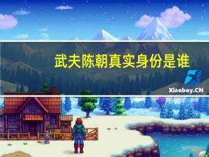 武夫陈朝真实身份是谁