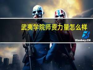 武夷学院师资力量怎么样