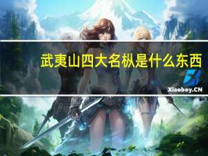 武夷山四大名枞是什么东西