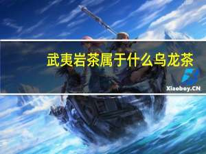 武夷岩茶属于什么乌龙茶（武夷岩茶是什么乌龙茶的代表）