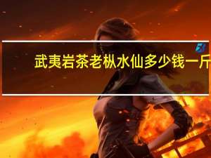 武夷岩茶老枞水仙多少钱一斤