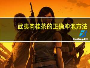 武夷肉桂茶的正确冲泡方法