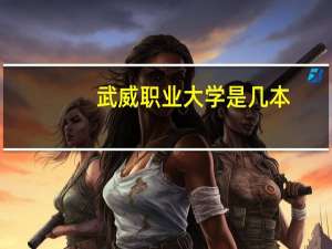 武威职业大学是几本