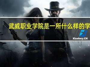 武威职业学院是一所什么样的学校