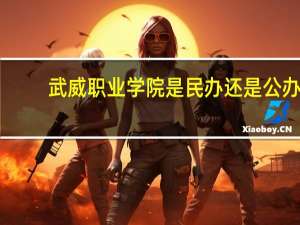武威职业学院是民办还是公办