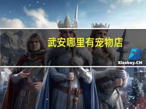 武安哪里有宠物店
