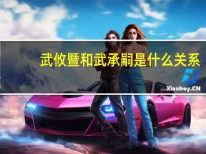 武攸暨和武承嗣是什么关系（武攸暨）