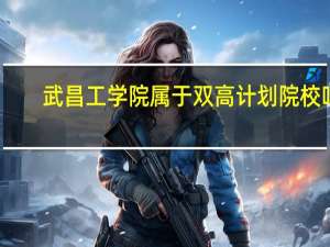 武昌工学院属于双高计划院校吗