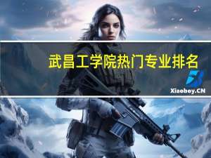 武昌工学院热门专业排名