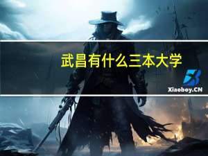 武昌有什么三本大学