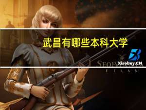 武昌有哪些本科大学