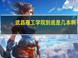 武昌理工学院到底是几本啊