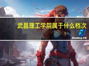 武昌理工学院属于什么档次