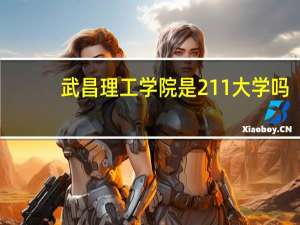武昌理工学院是211大学吗