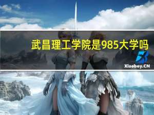 武昌理工学院是985大学吗
