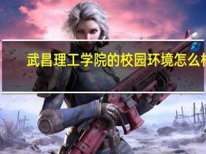 武昌理工学院的校园环境怎么样