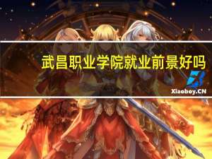 武昌职业学院就业前景好吗