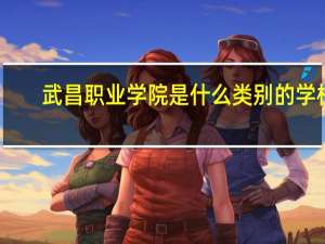 武昌职业学院是什么类别的学校