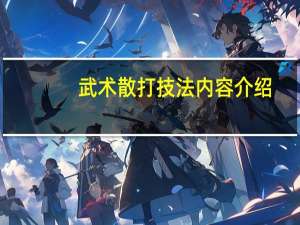 武术散打技法内容介绍