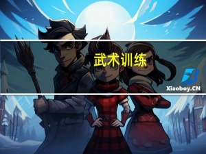 武术训练（学习武术）