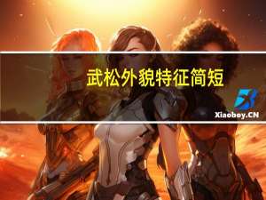 武松外貌特征简短