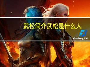 武松简介 武松是什么人